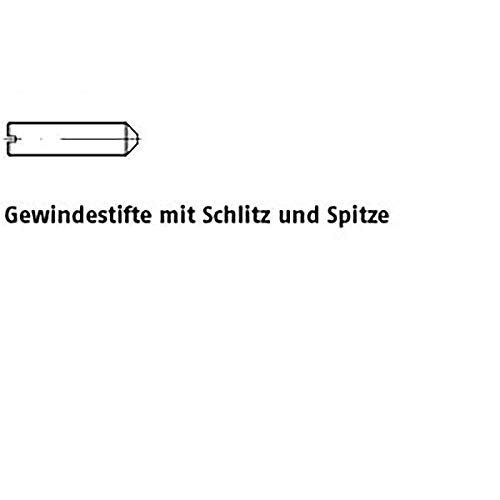 Perni con intaglio ISO 7434 14 H M 6 X 30 VE = K 100 pezzi