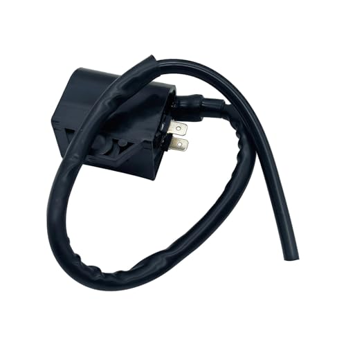 Bobina de encendido de alta chispa para Ranger 500 y Magnum 425 2
