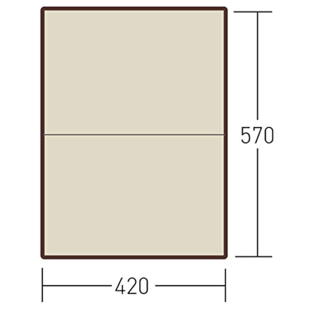 Amazon | ogawa(オガワ) タープ フィールドタープ レクタL-DX