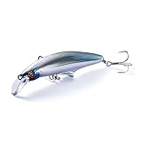  Jackson G Control 20 Leurre coulant 20 grammes SGE (8693)