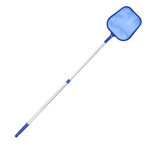 Lolahome Recogehojas Con Pértiga Telescópica Azul De Aluminio De 161 Cm