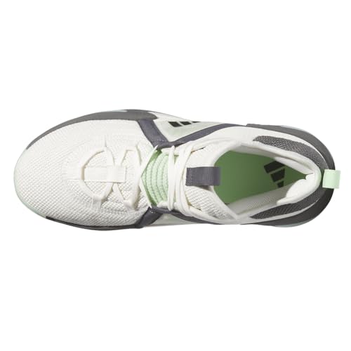 Image of Adidas Womens Dame Certified Basketball Shoes