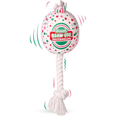 Blow Pop Plush & Rope Dog Toy &ndash; Scented Squeaky Plush with Durable Rope Stick &ndash; Tug, Fetch &...