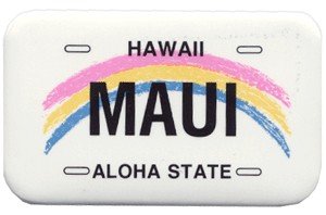 Metal Magnet Maui