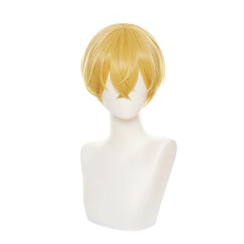 LVMEY Aj RXv LN^[ EBbO S[h ubN V[g ϔM ϑpEBbO cosplay wig Jc  RXvp RX`[  R~PCxg nEB NX}X  Ղ w EBbOl