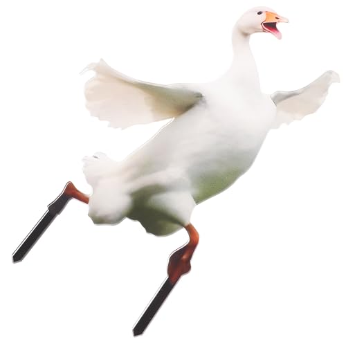 Anneome ANhK[f K`E`u O ŐpړII[ig