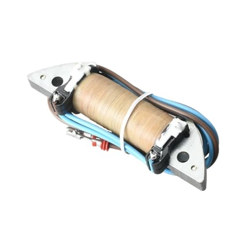 Bobine de chargeur pour moteur hors-bord résout panne allumage 40HP E40 6H9