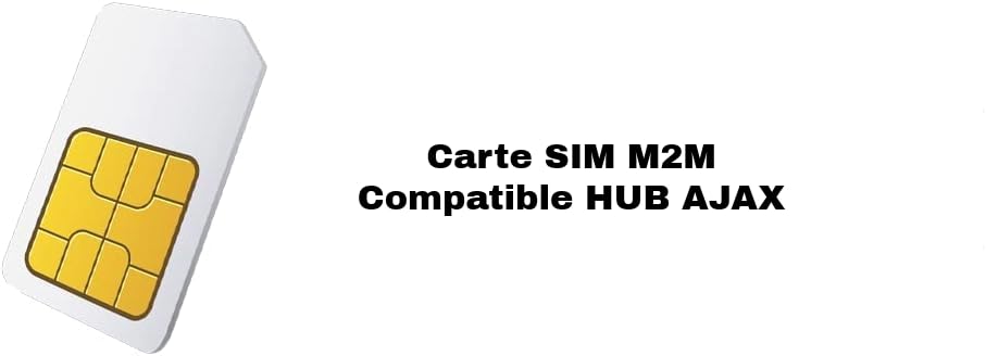Carte SIM M2M 12 Mois Compatible Alarme AJAX sans Engagement