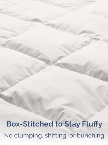 Image of CGK Unlimited Comforter Cream /Antique White Queen