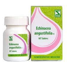 Dr. Willmar Schwabe India Echinacea Angustifolia 1X 20 Gm