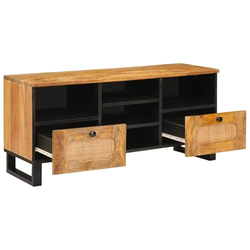 Meuble TV en bois pour salon moderne support de rangement convivial 46cm - 3