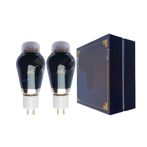 Tube à Vide 300B-Z Matched Pair pour Kit Amplificateur HiFi DIY