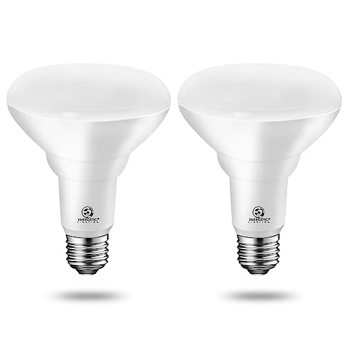 Energetic LED Grow Light Bulbs for Indoor Plants, 12W 4000K BR30 Plant Light Bulb, 120 Watt Equivalent Full Spectrum Grow Light Bulb, 1200lm, E26 Base, UL Listed，2-Pack