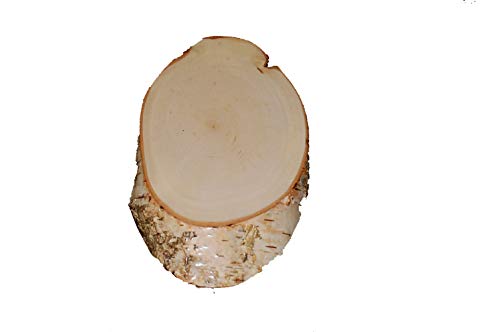 Jehn Bouleau Section gehörnschild, Bouleau, 18 x 10 cm Cover