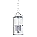 Troy Lighting F1310-WZN Burbank - 4 Light Outdoor Hanging Lantern-24.25 Inches Tall and 10 Inches Wide, Weathered Zinc Finish with Clear Seeded Glass
