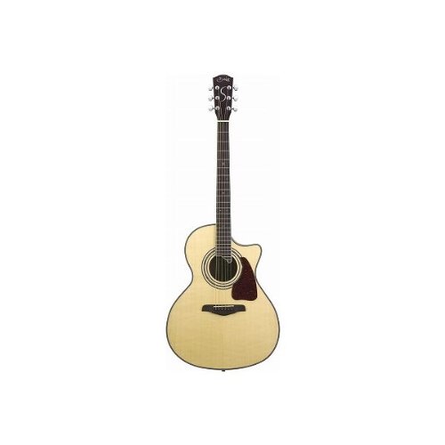 Amazon.co.jp: S.Yairi SYD-43 N ヤイリ アコースティックギター SYD 