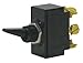 Toggle Switch, DPST, 10A @ 250V, Screw