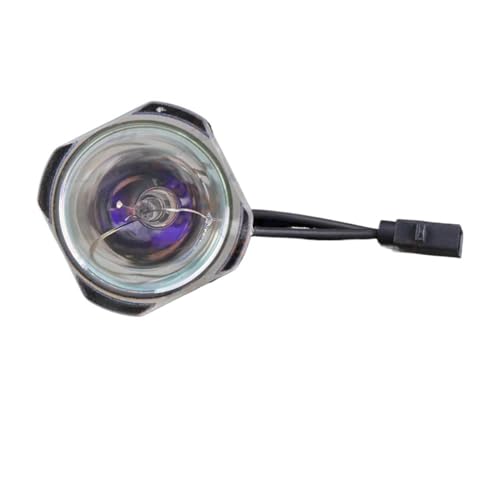 Lampe ELPLP87 de rechange pour corriger l'image sombre des Epson EB-520