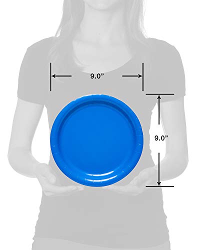 American Greetings Rainbow Party Supplies for Graduation, Birthday, and All Occasions, Multicolor Paper Dinner Plates (50 Count)