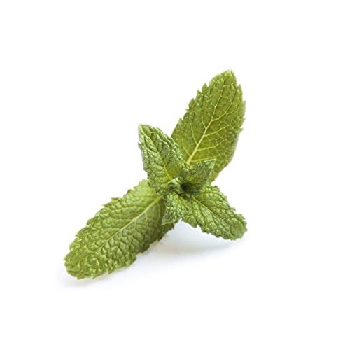 Menthe Alfaliquid e-liquide