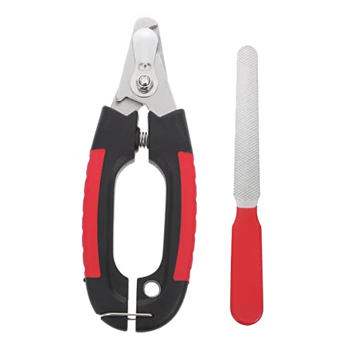 INOOMP ybgpܐ؂͂  Nbp[  lC `bg O