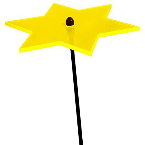 Preisvergleich Produktbild elliot 1019144 Elliot Lichtzauber 1019144 Sonnenfänger Stern klein, 12 cm, gelb
