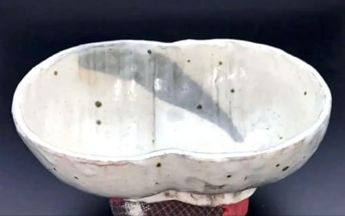 ���������ȂǑ��p�r�M�E�z�O�� �Η֓��q