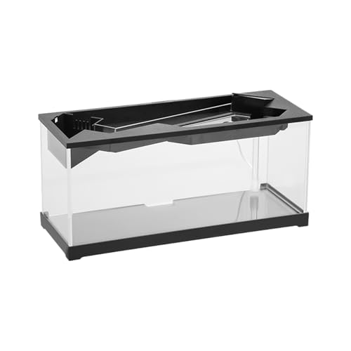 Pequeña pecera – Acuario de vidrio compacto con peces betta, hábitat de agua transparente, pecera de escritorio, bomba de aire, contenedor acuático moderno para mascotas, fácil instalación de limpieza