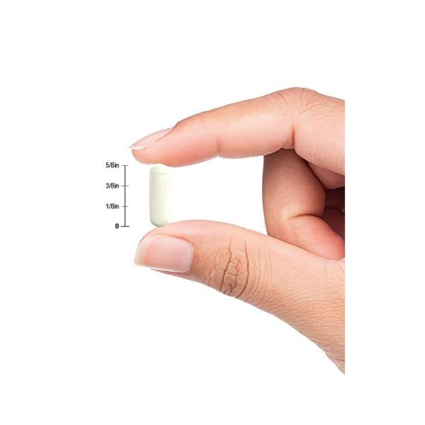 Zinc-Picolinate-100mg-180-Capsules-High-Potency-Non-GMO-Gluten-Free-Zinc-Supplement-by-Horbaach Zinc Picolinate 100mg | 180 Capsules | High Potency | Non-GMO, Gluten Free | Zinc Supplement | by Horbaach