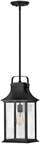 Hinkley Grant One Light Medium Outdoor Hanging Lantern, Textured Black w/Clear Seedy Glass