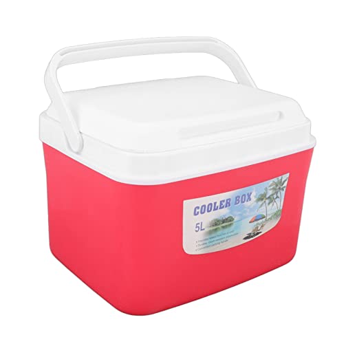 gernie Insulated Portable Cooler Box, 5L 10.6 X 9.1 X 7.9inch Insulated Food Delivery Box with 5 Ice Bags Cooler and Warmer Portable Refrigerator Box with Handle, Long Lasting