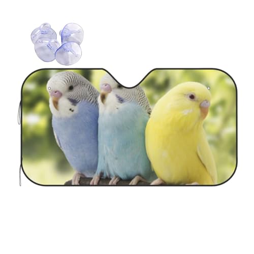 킢 Aj ԗpi 킢CR2 TVF[h ԃtgKXpTVF[h u zՎ Ռ ՔM 悯  M