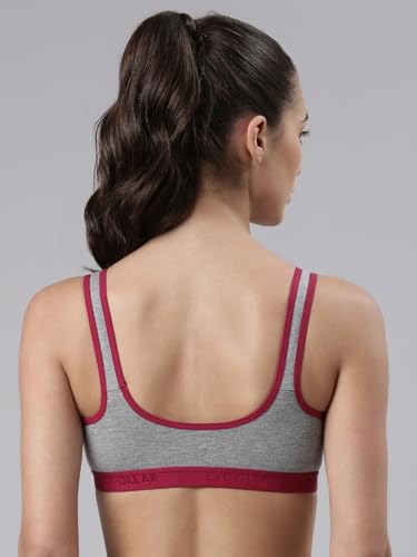 Image of Dollar Missy Pack of 2 Women's Cotton Wire-Free Moulded Sports Bra