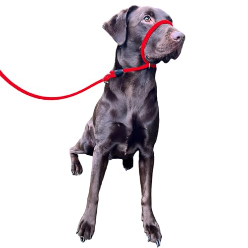 Niente più tirare! Guinzaglio anti-tiro Field Figure 8 / Cavezza/Collare per la testa Taglia unica Super morbido nylon intrecciato confortevole Rendi le tue passeggiate più piacevoli - Istruzioni