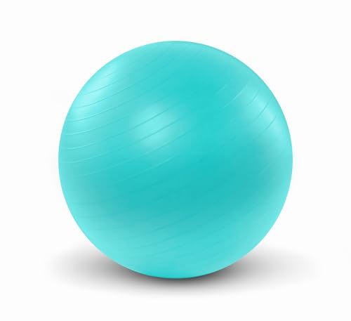 Ballon de yoga durable de 55 cm de diamètre avec pompe incluse