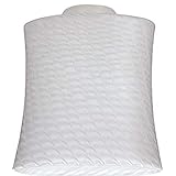 WESTINGHOUSE LIGHTING CORP 8141200 Handblown Pendant Lamp Shade, 2-1/4