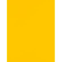 LUXPaper 8.5" x 11" Paper | Letter Size | Sunflower Yellow | 80lb. Text | 50 Qty