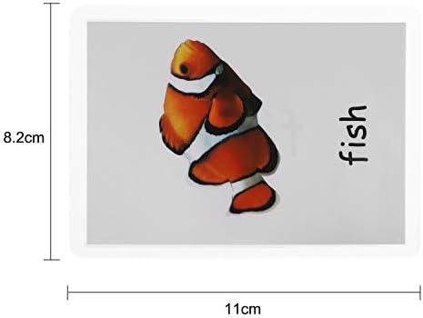 IBLUELOVER Preschool Flash Cards Set 24pcs/32pcs Animals & Transportation & National Flags Waterproof Learning Cognitive Cards Early Educational Learning Cards
