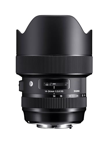 14-24mm F2.8 DG HSM �V�O�}�p