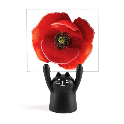 ԂԂ̊GrbOR[|s[ J[gD[LX^h^z_[