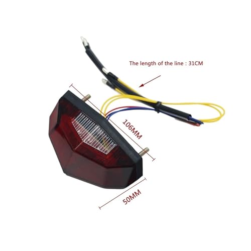 Conjunto de luz trasera de motocicleta LED con óptica ahumada 4