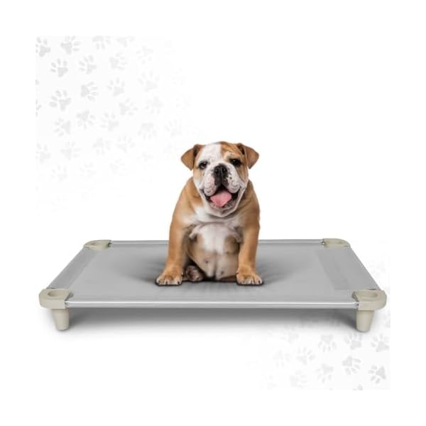 Acrimet Cooling Elevated Pet Dog Bed Cot, Washable and Breathable Mesh Fabric, Stainless Steel Frame, Indoor & Outdoor Use, (Size: 40”x 24”) (Gray Color) (1 Unit)