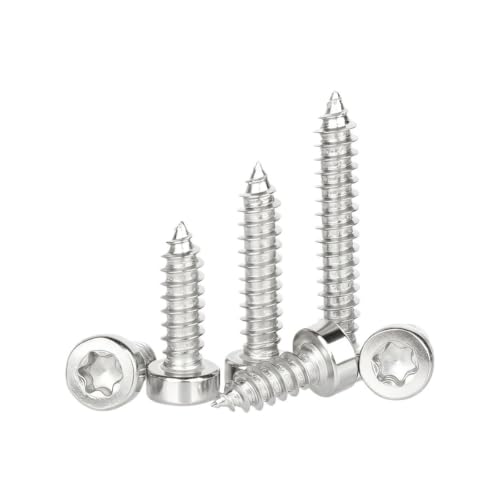 Vis M8x30mm inox 304 autotaraudeuse à tête ronde Torx pour bois