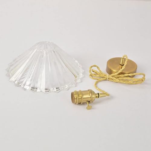 Suspension réglable en nickel brossé avec globe de verre transparent