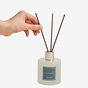 Cocorrina Premium Reed Diffuser Set with Preserved Babys Breath Cotton Stick Cashmere Vanilla 2 Packs 67oz Scent Fragrance Oil Diffuser for Bedroom Bathroom Home Decor
