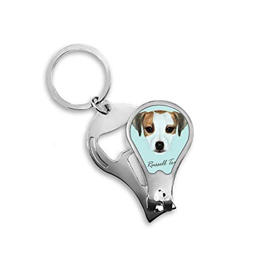 Coupe-ongles Jack Russell Terrier accessoire toilettage griffes chien