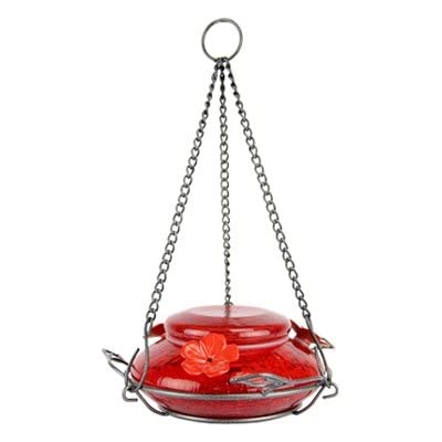 Top 10 Best Leak Proof Hummingbird Feeder : Reviews & Buying Guide
