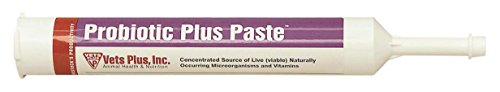 Vet's Plus 048653 Probiotic Plus Paste, 300Ml