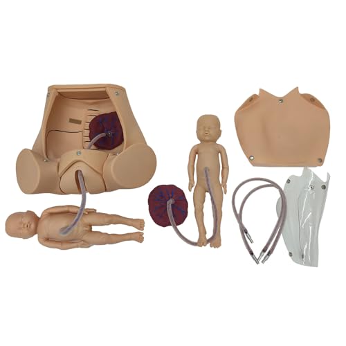 Childbirth Comprehensive Skills Simulator Training Model Pelvic Anatomical Childbirth Delivery Parodynia Training Model with Two Fetuses (1 Male, 1 Female) Two Placentas for Gynecology Teaching