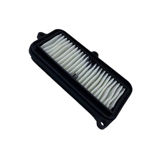 Filtre à air de moto moteur de remplacement GV250 QM250-6 admission